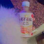 ヒメ日記 2024/12/14 20:37 投稿 そう clubさくら難波店