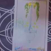 ヒメ日記 2025/04/15 10:20 投稿 そう clubさくら難波店