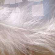 ヒメ日記 2025/05/22 16:37 投稿 そう clubさくら難波店