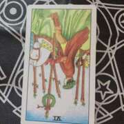 ヒメ日記 2025/08/12 10:57 投稿 そう clubさくら難波店