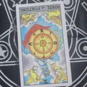 ヒメ日記 2025/09/23 10:57 投稿 そう clubさくら難波店