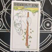 ヒメ日記 2025/11/04 11:17 投稿 そう clubさくら難波店