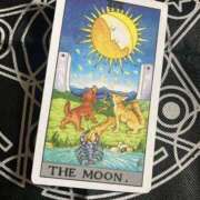 ヒメ日記 2025/11/11 12:07 投稿 そう clubさくら難波店