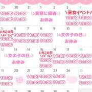 ヒメ日記 2024/12/29 00:37 投稿 ももか clubさくら難波店