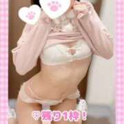 ヒメ日記 2024/12/29 09:13 投稿 ももか clubさくら難波店