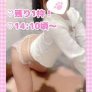 ヒメ日記 2025/03/09 10:47 投稿 ももか clubさくら難波店