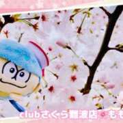 ヒメ日記 2025/03/28 15:07 投稿 ももか clubさくら難波店