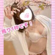 ヒメ日記 2025/04/05 07:07 投稿 ももか clubさくら難波店