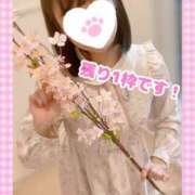 ヒメ日記 2025/04/10 11:47 投稿 ももか clubさくら難波店