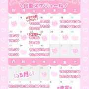 ヒメ日記 2025/04/14 16:27 投稿 ももか clubさくら難波店