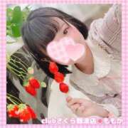 ヒメ日記 2025/04/15 07:47 投稿 ももか clubさくら難波店
