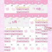 ヒメ日記 2025/04/23 11:57 投稿 ももか clubさくら難波店