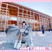 ヒメ日記 2025/06/19 20:57 投稿 ももか clubさくら難波店