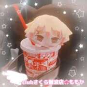 ヒメ日記 2025/08/01 16:27 投稿 ももか clubさくら難波店