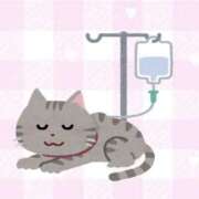 ヒメ日記 2025/08/05 02:07 投稿 ももか clubさくら難波店