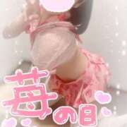 ヒメ日記 2025/09/15 09:37 投稿 ももか clubさくら難波店