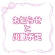 ヒメ日記 2026/01/16 11:17 投稿 ももか clubさくら難波店