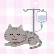 ヒメ日記 2026/02/13 19:07 投稿 ももか clubさくら難波店