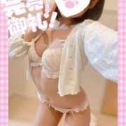 ヒメ日記 2026/03/14 10:07 投稿 ももか clubさくら難波店