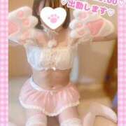 ヒメ日記 2026/03/25 06:47 投稿 ももか clubさくら難波店