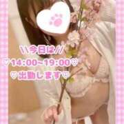 ヒメ日記 2026/04/05 10:07 投稿 ももか clubさくら難波店