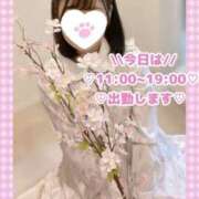 ヒメ日記 2026/04/07 08:53 投稿 ももか clubさくら難波店