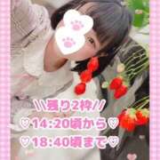 ももか ももか（clubさくら難波店） clubさくら難波店