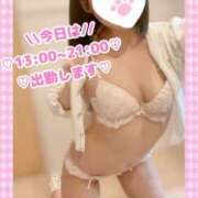 ヒメ日記 2026/05/08 07:57 投稿 ももか clubさくら難波店