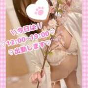 ヒメ日記 2026/05/23 08:07 投稿 ももか clubさくら難波店
