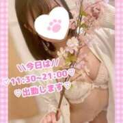ヒメ日記 2026/05/24 08:07 投稿 ももか clubさくら難波店