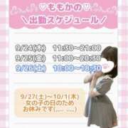 ヒメ日記 2026/09/23 20:38 投稿 ももか clubさくら難波店