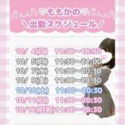 ヒメ日記 2026/10/03 21:18 投稿 ももか clubさくら難波店