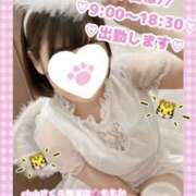 ヒメ日記 2026/10/04 06:58 投稿 ももか clubさくら難波店