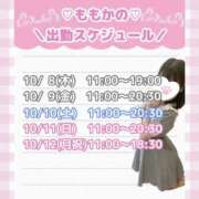ヒメ日記 2026/10/07 00:18 投稿 ももか clubさくら難波店