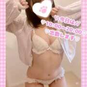 ヒメ日記 2026/10/11 07:48 投稿 ももか clubさくら難波店