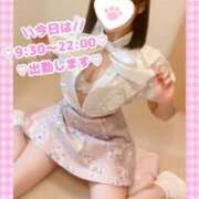ヒメ日記 2026/10/13 07:18 投稿 ももか clubさくら難波店