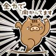 ヒメ日記 2025/01/20 15:07 投稿 けい clubさくら難波店