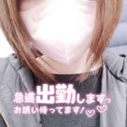 ヒメ日記 2025/02/16 15:37 投稿 けい clubさくら難波店