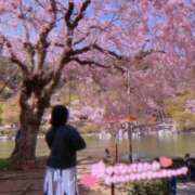 ヒメ日記 2025/04/20 14:37 投稿 けい clubさくら難波店