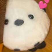 ヒメ日記 2025/04/29 16:57 投稿 けい clubさくら難波店