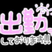 けい けい（clubさくら難波店） clubさくら難波店