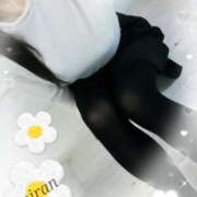 ヒメ日記 2025/04/15 19:58 投稿 みらん 京都BOOK MARK（ブックマーク）