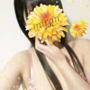 ヒメ日記 2026/03/16 20:18 投稿 みらん 京都BOOK MARK（ブックマーク）