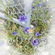 ヒメ日記 2025/05/12 16:15 投稿 みよこ 甲府人妻隊