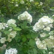 ヒメ日記 2025/06/28 15:02 投稿 花梨 スピードエコ難波店