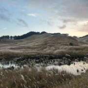 ヒメ日記 2026/02/20 22:42 投稿 花梨 スピードエコ難波店