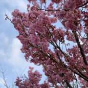 ヒメ日記 2026/02/24 22:02 投稿 花梨 スピードエコ難波店