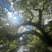 ヒメ日記 2026/03/13 22:02 投稿 花梨 スピードエコ難波店