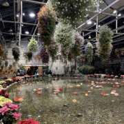 ヒメ日記 2026/03/20 00:02 投稿 花梨 スピードエコ難波店