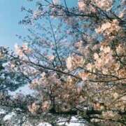 ヒメ日記 2026/04/03 18:42 投稿 花梨 スピードエコ難波店